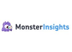 MonsterInsights logo