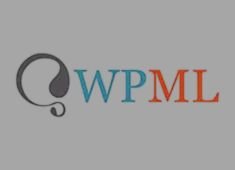 no ap wpml