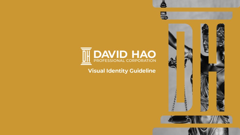 David Hao Professional Corporate logo guideline cover