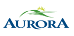 Creative Design and Translation Services in Aurora
